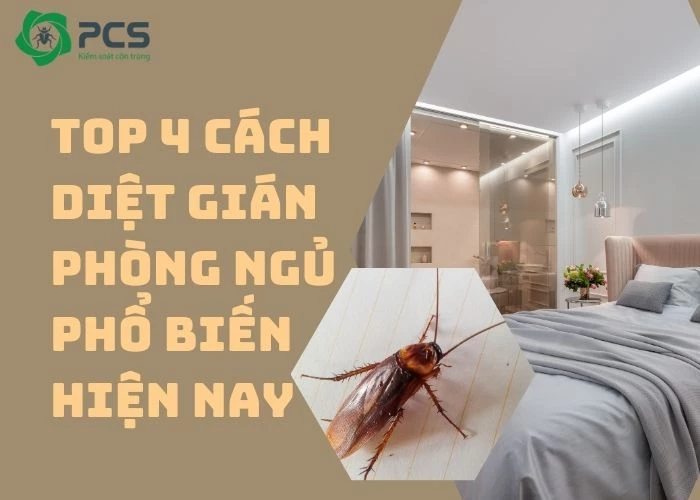 4 Cách diệt gián phòng ngủ hiệu quả bạn nên thử