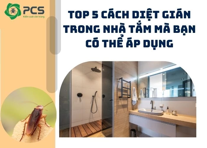 5 Cách diệt gián trong nhà tắm bạn có thể áp dụng