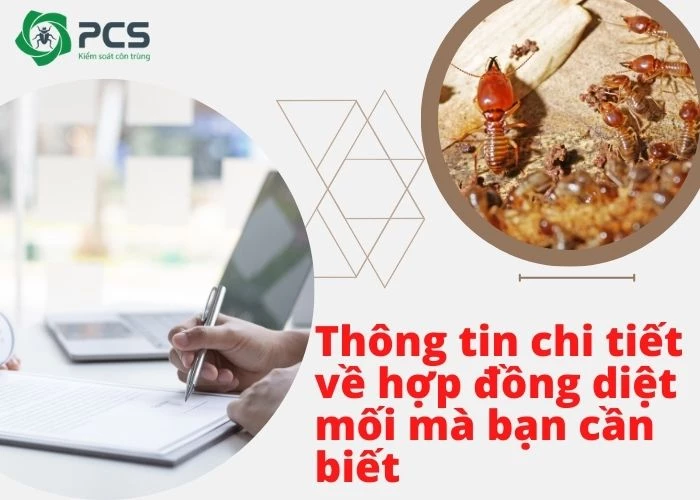 Hợp đồng diệt mối và những thông tin cần lưu ý