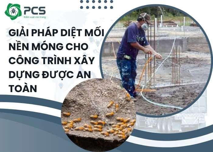 Giải pháp diệt mối nền móng cho công trình xây dựng