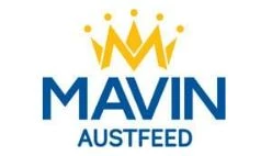 MAVIN