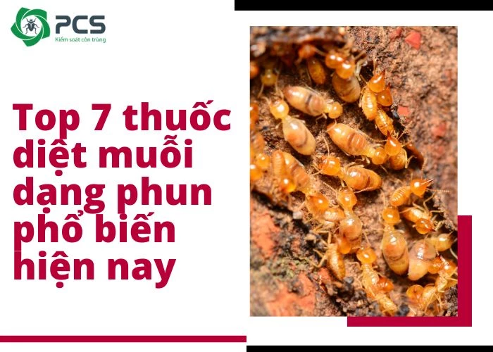 Top 7 thuốc diệt muỗi dạng phun phổ biến hiện nay