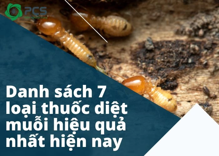 Danh sách 7 loại thuốc diệt muỗi hiệu quả nhất hiện nay