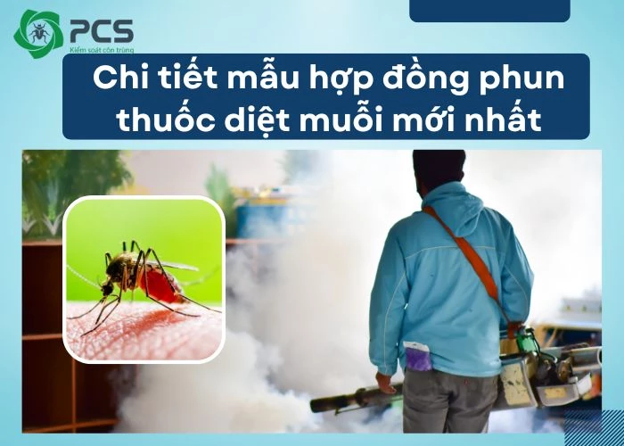 Hợp đồng phun thuốc diệt muỗi: Những lưu ý đáng quan tâm