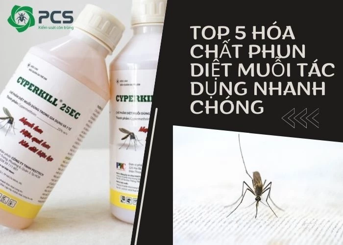 Top 5 hóa chất phun diệt muỗi tác dụng nhanh chóng