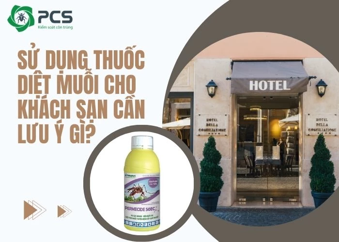 Sử dụng thuốc diệt muỗi cho khách sạn cần lưu ý gì?