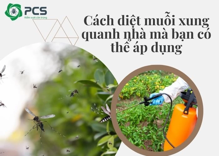 Cách diệt muỗi xung quanh nhà đơn giản dễ làm