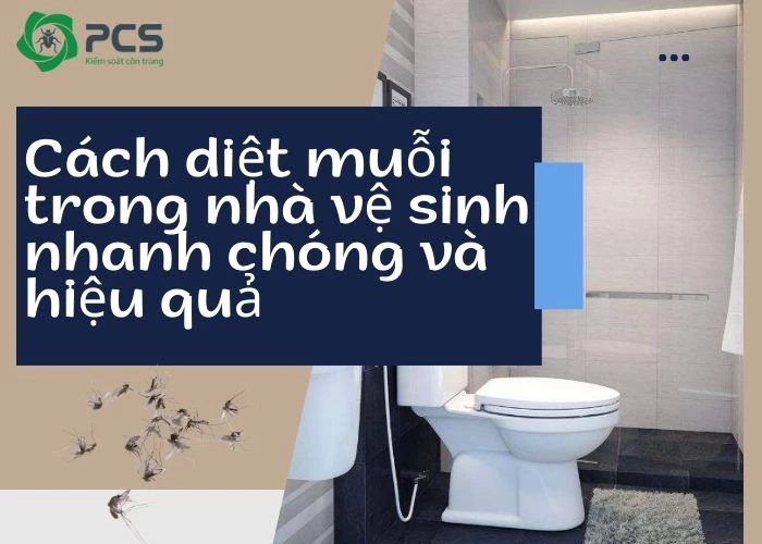 Cách diệt muỗi trong nhà vệ sinh nhanh chóng và hiệu quả