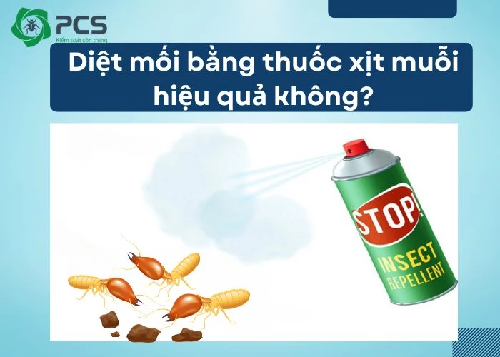 Diệt mối bằng thuốc xịt muỗi có hiệu quả không?