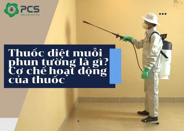 Thuốc diệt muỗi phun tường là gì? Cơ chế hoạt động của thuốc