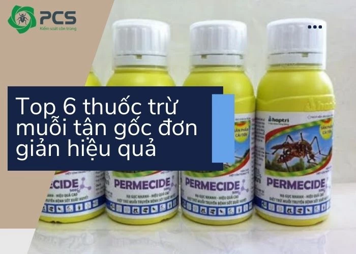 Top 6 thuốc trừ muỗi tận gốc đơn giản hiệu quả