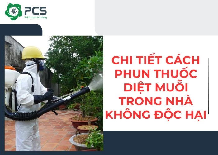 Hướng dẫn phun thuốc diệt muỗi trong nhà an toàn