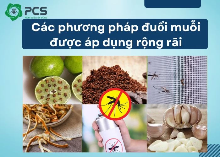 Các phương pháp đuổi muỗi hiệu quả bạn nên tham khảo