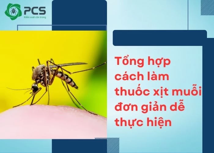 Tổng hợp cách làm thuốc xịt muỗi tại nhà vô cùng hiệu quả