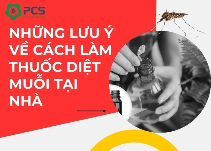 Cách làm thuốc diệt muỗi tại nhà: Những điều bạn nên lưu ý