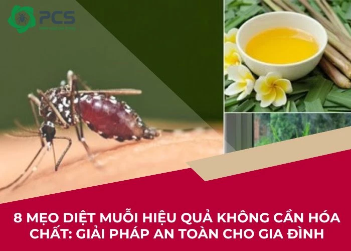 8 Mẹo diệt muỗi hiệu quả không cần hóa chất, Xem ngay!