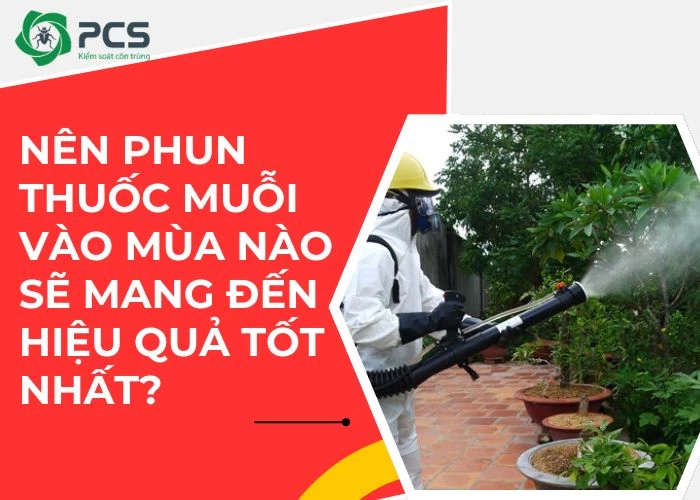 Nên phun thuốc muỗi vào mùa nào để có kết quả tốt nhất?