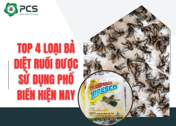 Top 4 loại bả diệt ruồi được sử dụng phổ biến hiện nay