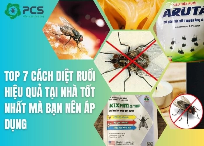 Top 7 cách diệt ruồi hiệu quả tại nhà mà bạn nên áp dụng