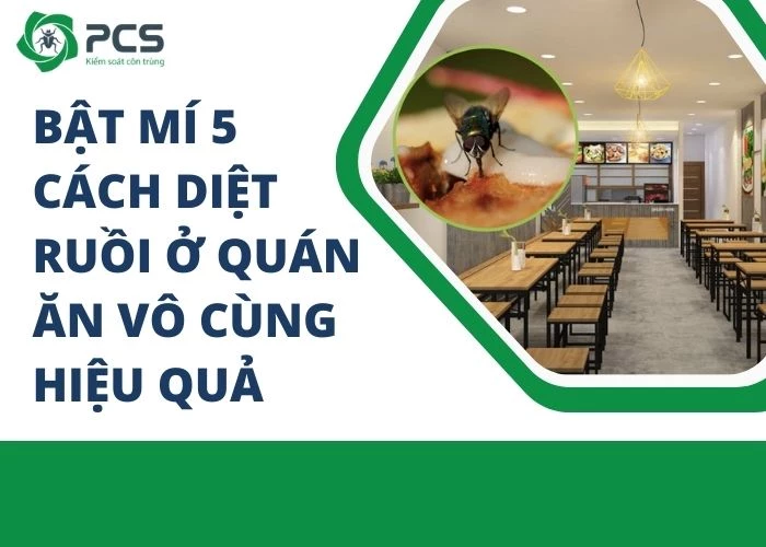 5 Cách diệt ruồi ở quán ăn hiệu quả triệt để 100%