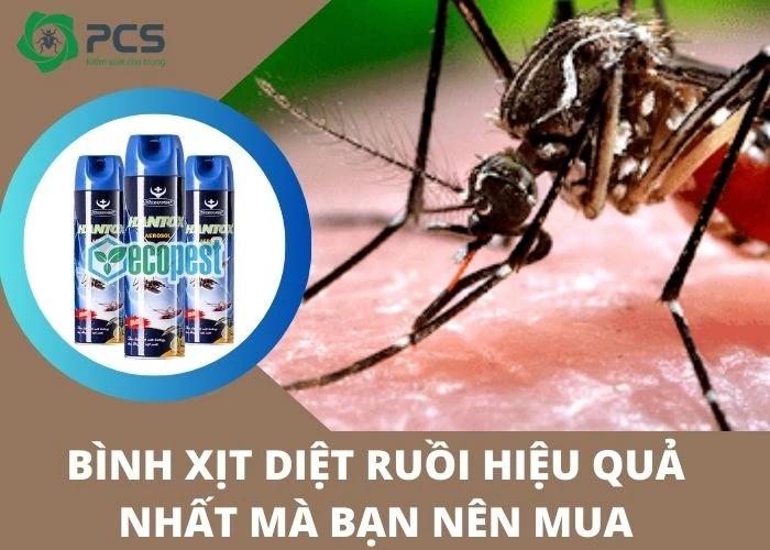 Bình xịt diệt ruồi hiệu quả nhất mà bạn nên mua