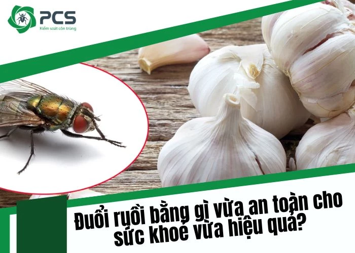 Đuổi ruồi bằng gì vừa an toàn vừa hiệu quả?