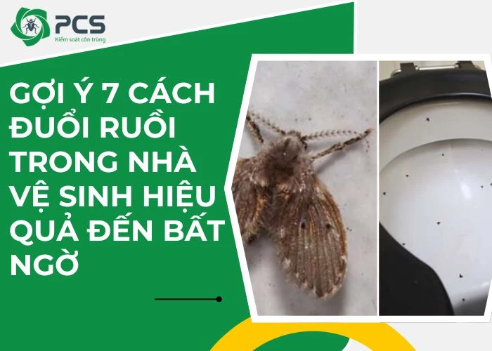 Gợi ý 7 cách đuổi ruồi trong nhà vệ sinh hiệu quả