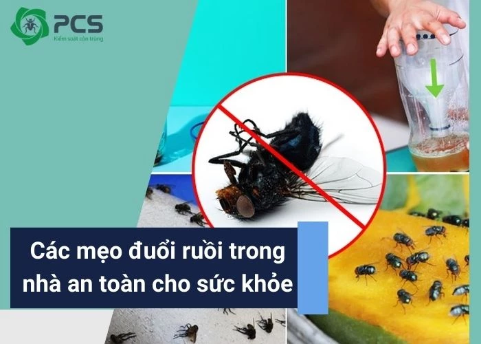 Tổng hợp các mẹo đuổi ruồi trong nhà an toàn, hiệu quả