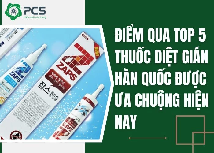 5 Loại thuốc diệt gián Hàn Quốc được sử dụng hiện nay