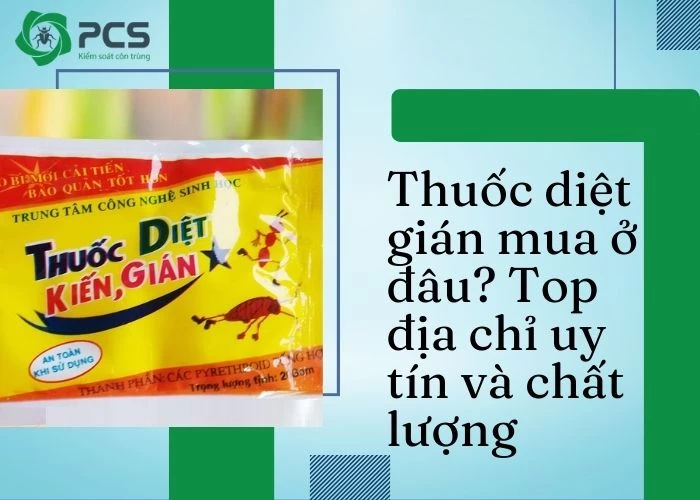 Thuốc diệt gián mua ở đâu?