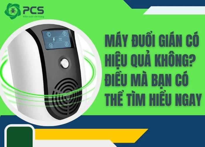 Máy đuổi gián có hiệu quả không?