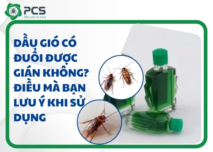 Dầu gió có đuổi được gián không?