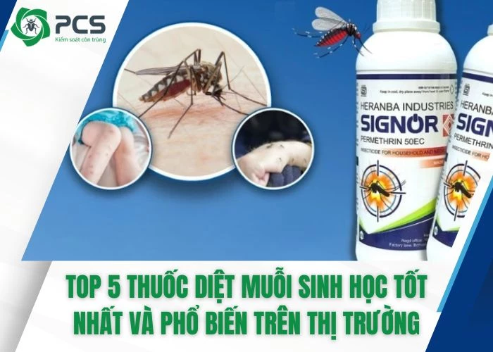 Top 5 thuốc diệt muỗi sinh học an toàn khi sử dụng