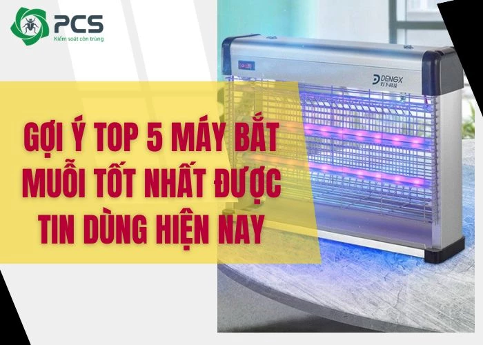 Top 5 máy bắt muỗi tốt nhất được nhiều người sử dụng