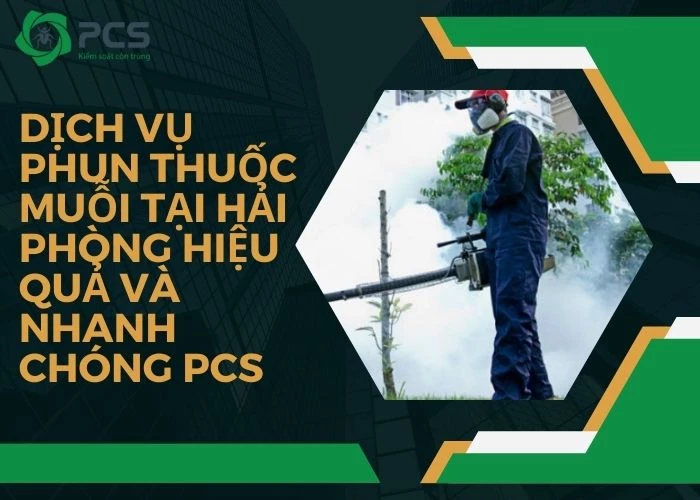 Dịch vụ phun thuốc muỗi tại Hải Phòng hiệu quả 100%