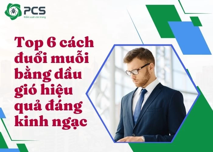 Top 6 cách đuổi muỗi bằng dầu gió hiệu quả đáng kinh ngạc