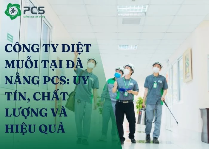 Công ty diệt muỗi tại Đà Nẵng: Cam kết diệt sạch muỗi 100%