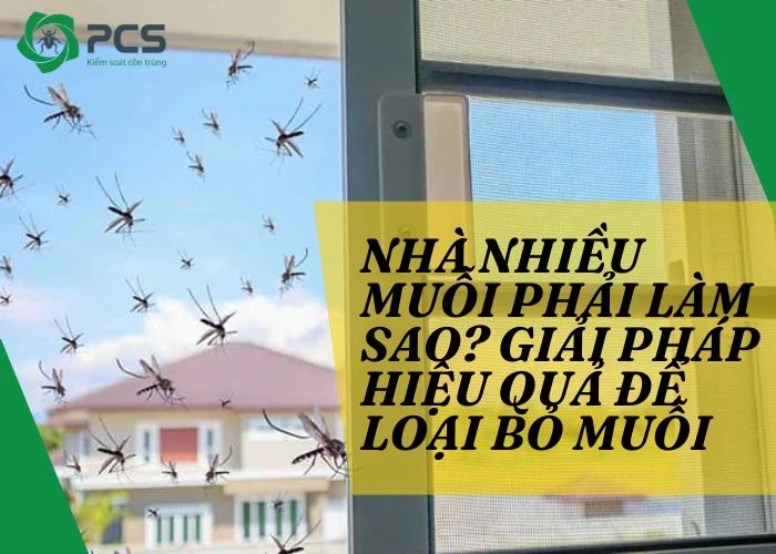 Nhà nhiều muỗi phải làm sao? Giải pháp hiệu quả để loại bỏ muỗi