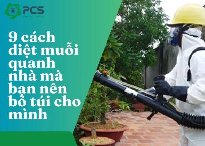 9 Cách diệt muỗi quanh nhà mà bạn nên biết