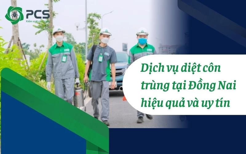 Dịch vụ diệt côn trùng tại Đồng Nai hiệu quả và uy tín