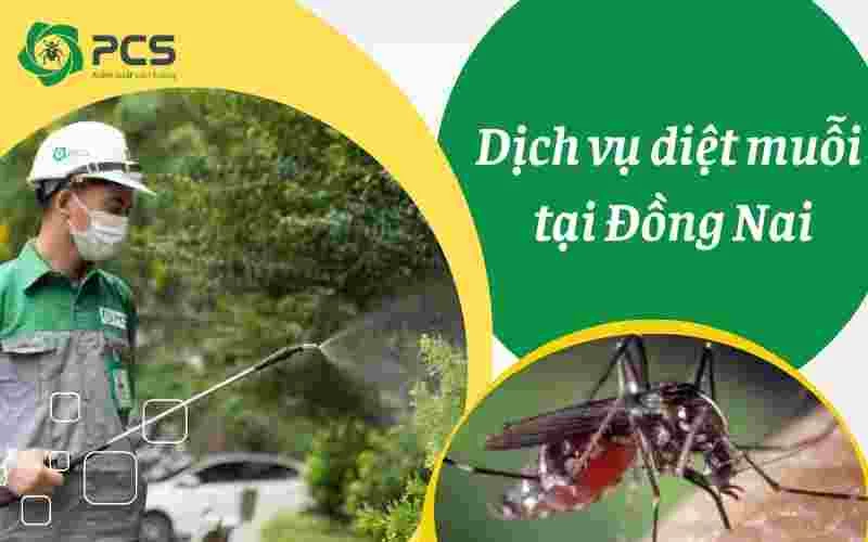 Dịch vụ diệt muỗi tại Đồng Nai bảo vệ không gian sống cho bạn