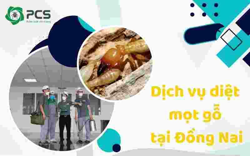 Dịch vụ diệt mọt gỗ tại Đồng Nai giá rẻ - gọi là đến ngay