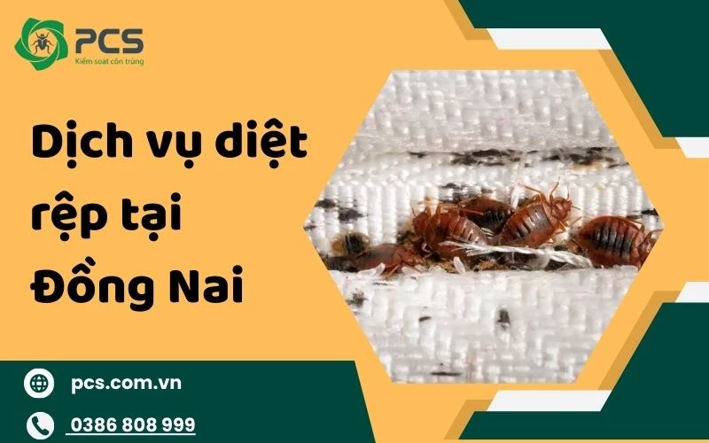 Dịch vụ diệt rệp tại Đồng Nai không hoá chất độc hại - an toàn