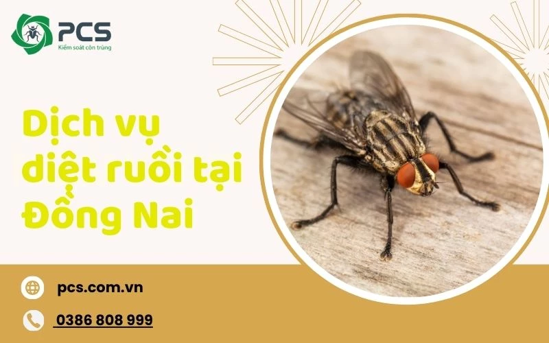 Dịch vụ diệt ruồi tại Đồng Nai chuyên nghiệp - nhanh chóng