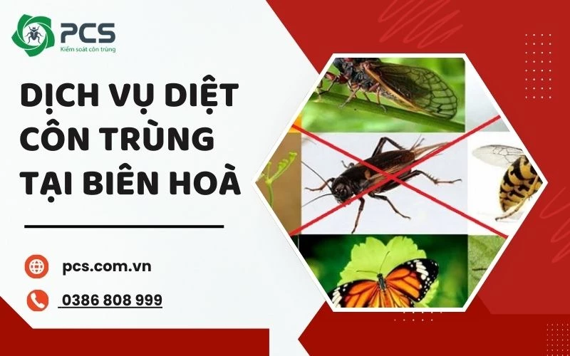 Dịch vụ diệt côn trùng tại Biên Hoà nhanh gọn và hiệu quả