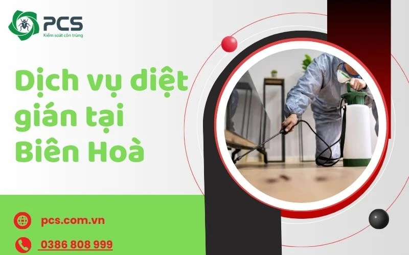 Dịch vụ diệt gián tại Biên Hoà nhanh chóng và giá tốt