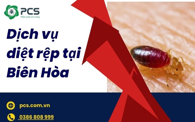 Dịch vụ diệt rệp tại Biên Hoà xử lý nhanh gọn, triệt để 100%