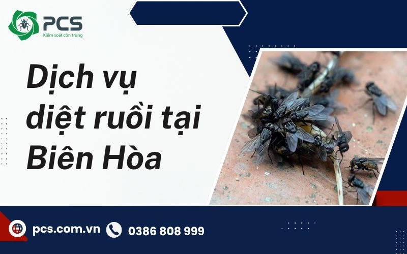 Dịch vụ diệt ruồi tại Biên Hoà hiệu quả ngay sau 1 lần xử lý