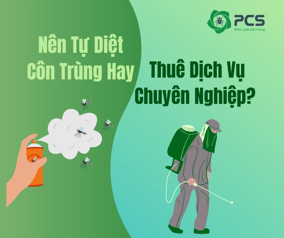 Nên Tự Diệt Côn Trùng Hay Thuê Dịch Vụ Chuyên Nghiệp?