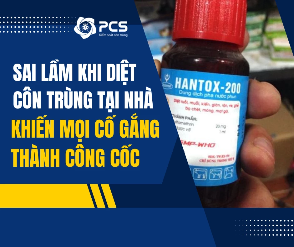 Top 5 Sai Lầm Khi Diệt Côn Trùng Tại Nhà Khiến Mọi Cố Gắng Thành Công Cốc